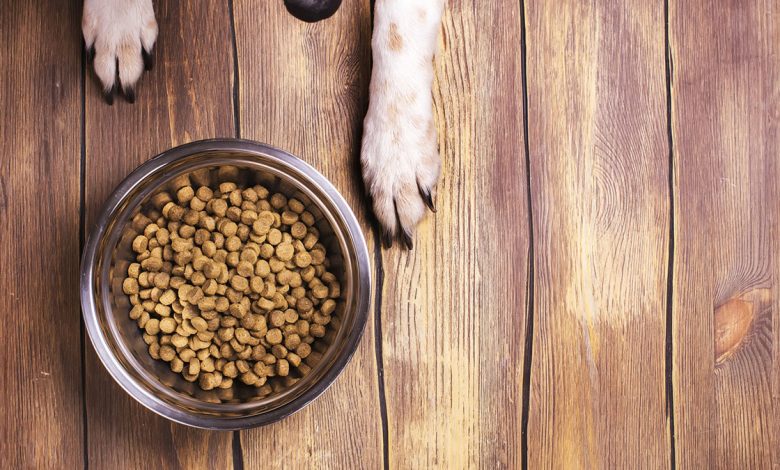 Dog Food