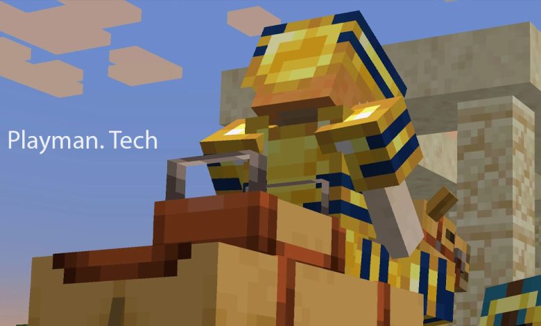 Playman. Tech